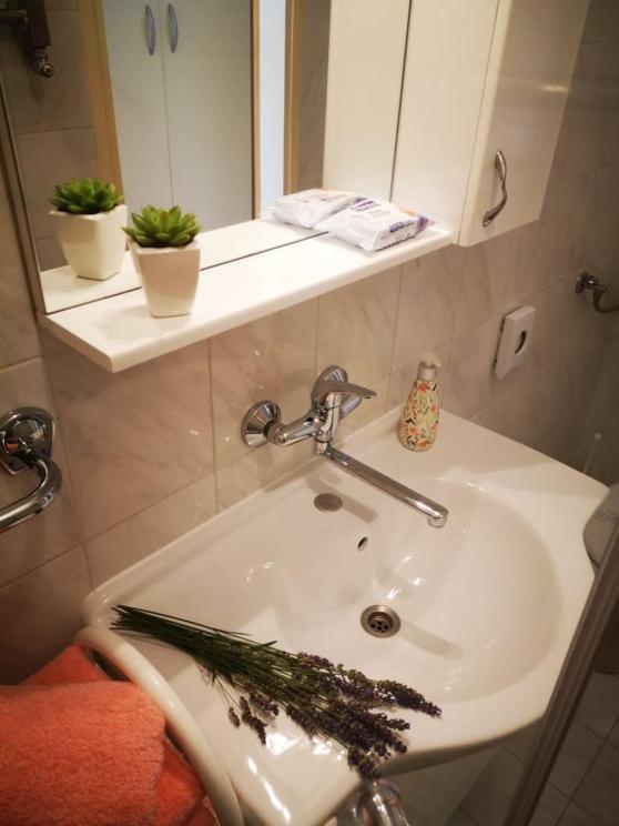 Apartmani Rita Studio Novigrad (Istria) Exterior foto